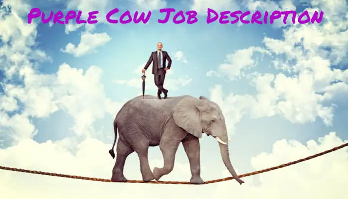 Purple Cow Job Description