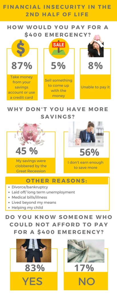 Financial Insecurity Infographic