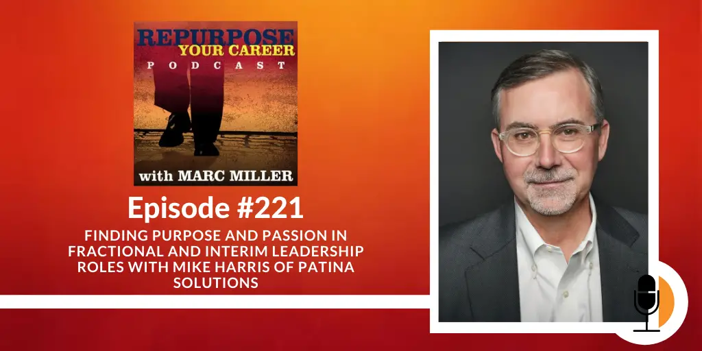 Fractional and Interim Leadership Roles with Mike Harris of Patina Solutions [Podcast]
